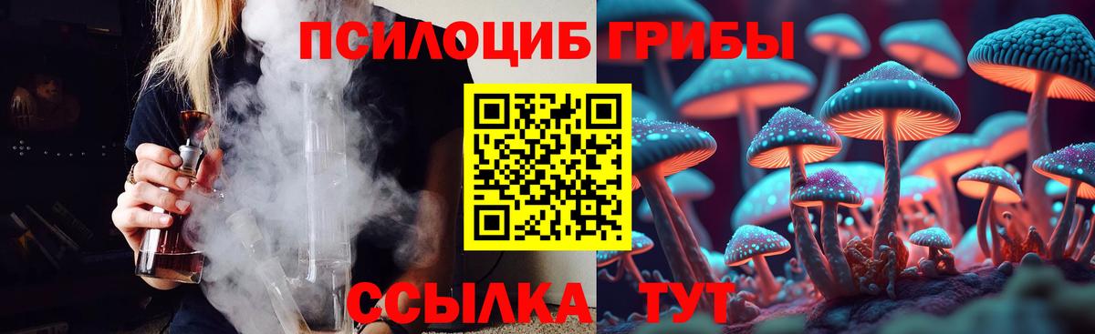 Псилоцибиновые грибы Psilocybe Лобня